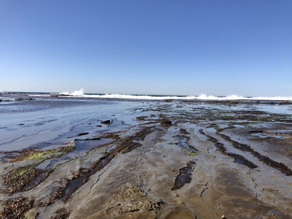 Burwood Beach Merewether