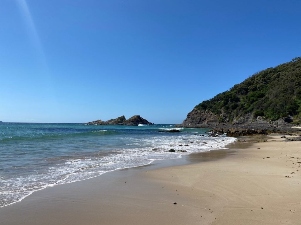 Boat Beach Seal Rocks