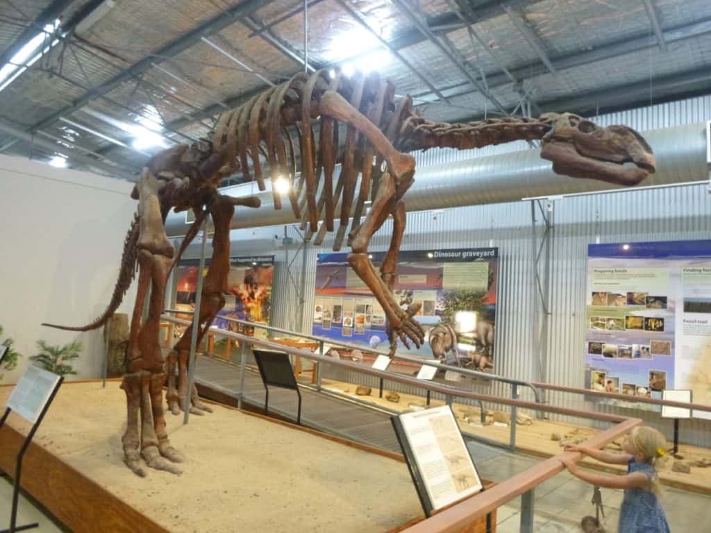 Flinders Discovery dinosaur queensland