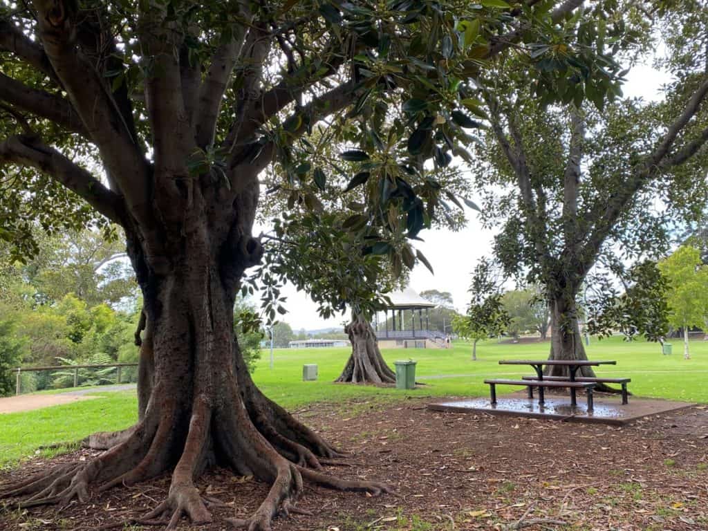 Lambton Park Picnic Spot Newcastle