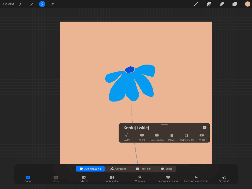 Procreate narzędzie zaznaczania

