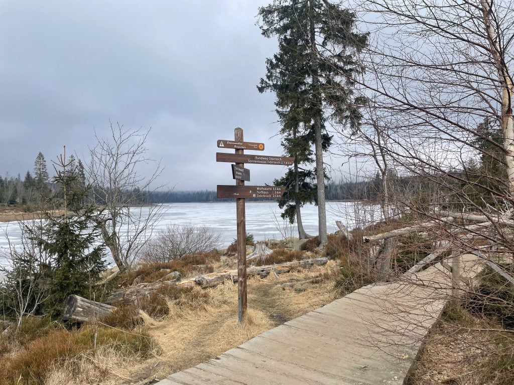 Rundwanderweg um den Oderteich im Frühjahr 2025