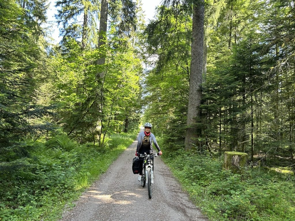 cicloturismo_alsacia_y_selva_negra