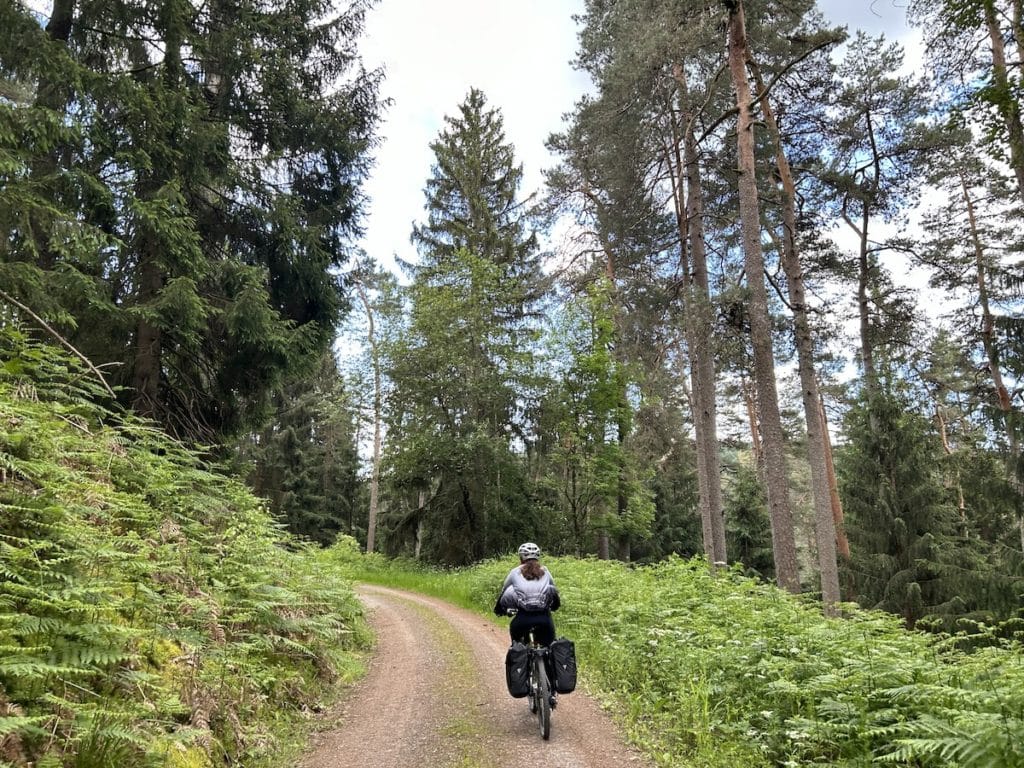 cicloturismo_alsacia_y_selva_negra