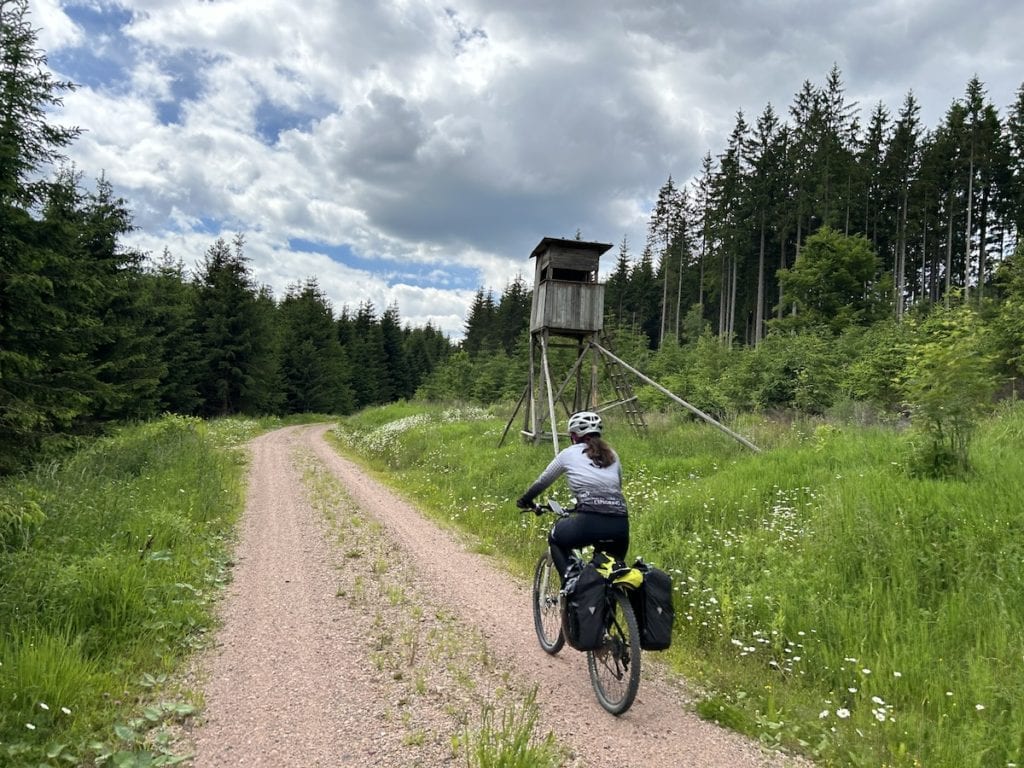 cicloturismo__selva_negra