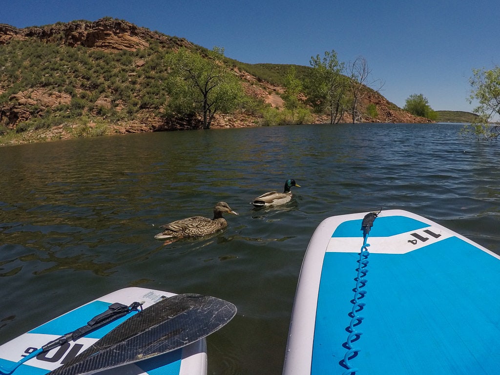 sup-in-colorado-horsetooth-reservoir