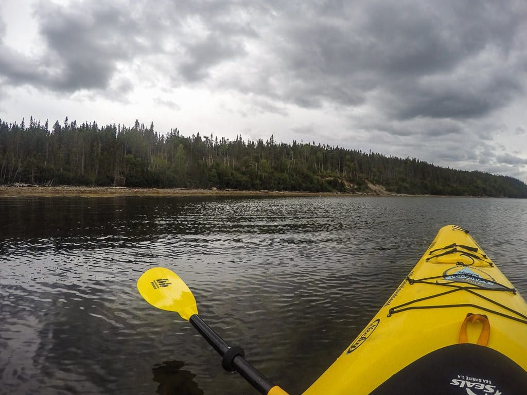 Ocean Kayak and paddle in Terra Nova