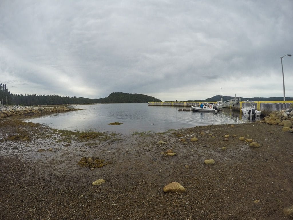 Shoreline near the Visitor's Center at low tide