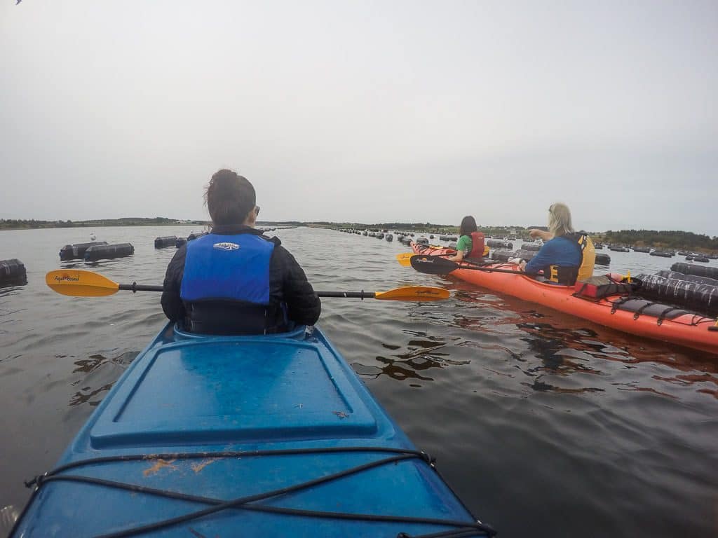 Sitting in the kayak with the tour group while our guide gives us information on the area