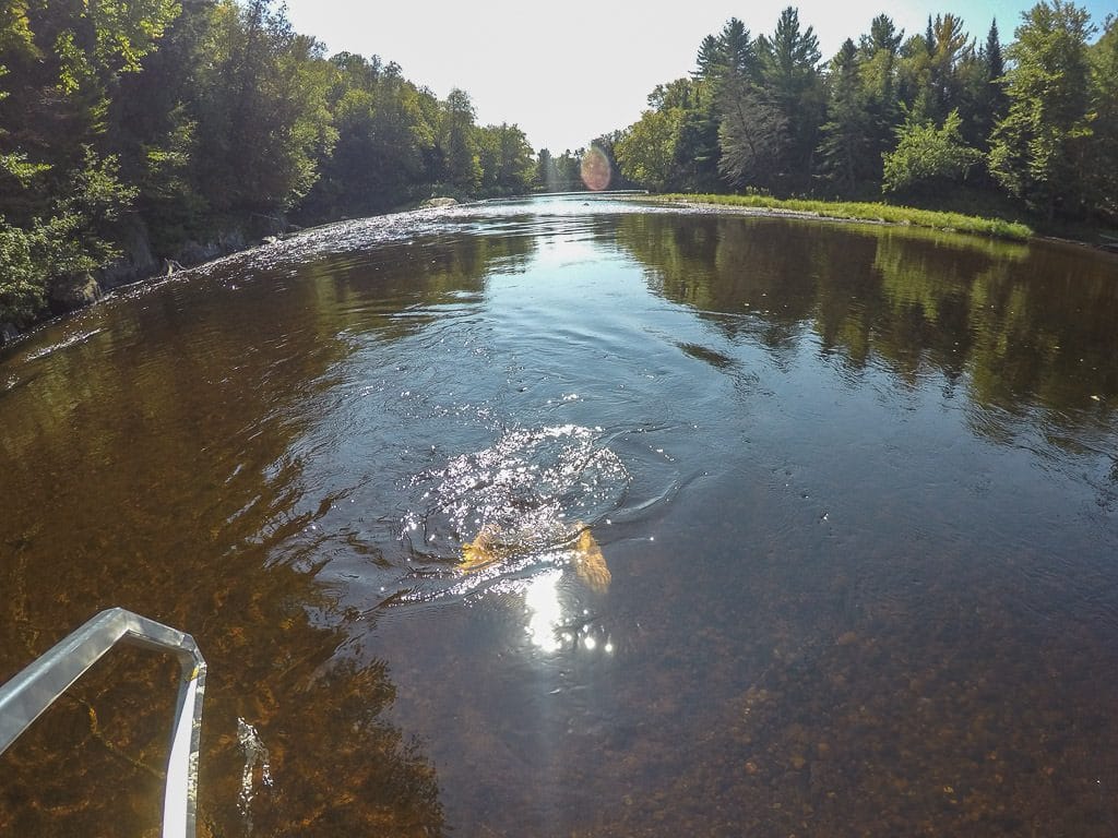 Brooke dipping underwater in the Diable River at scandinave spa in mont-tremblant