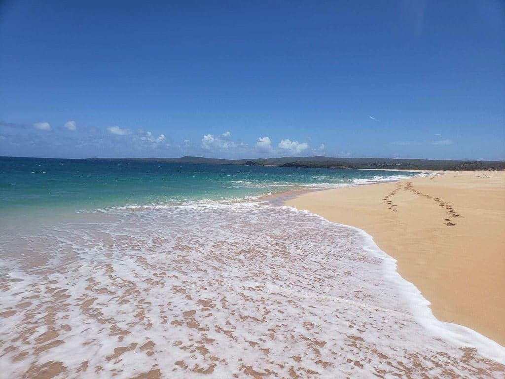 footprints in the sand in molokai hawaii