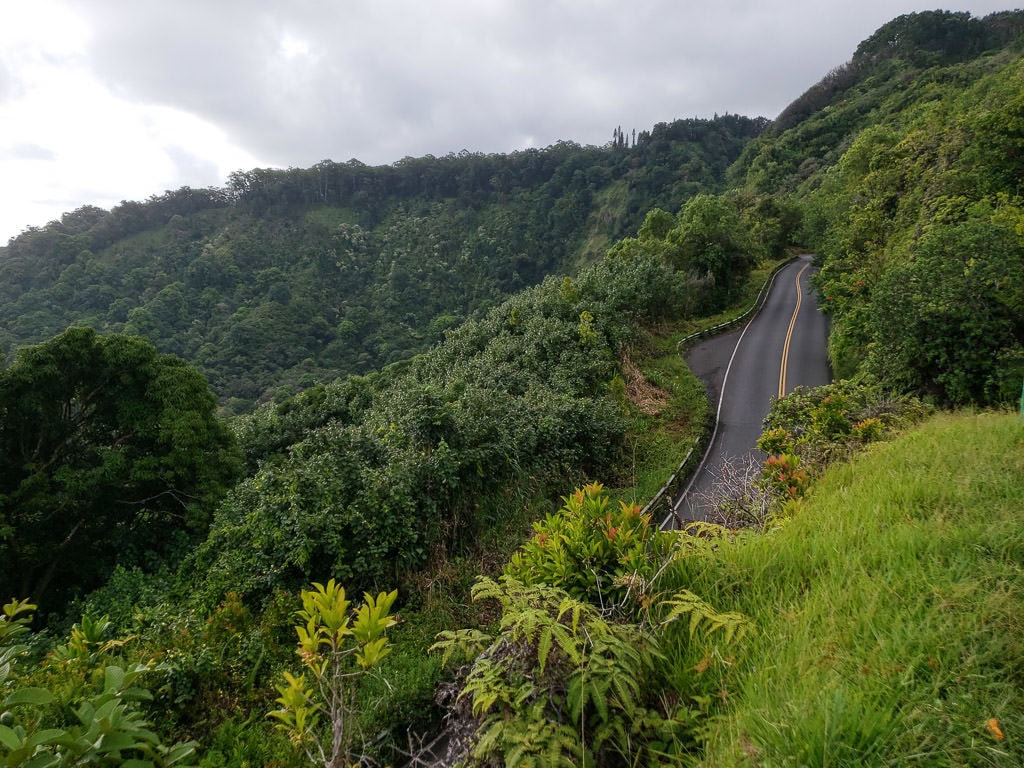 Road to Hana with lush green tree's growing on both sides