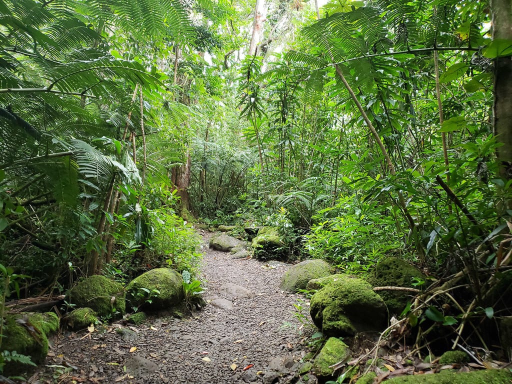 favorite places oahu