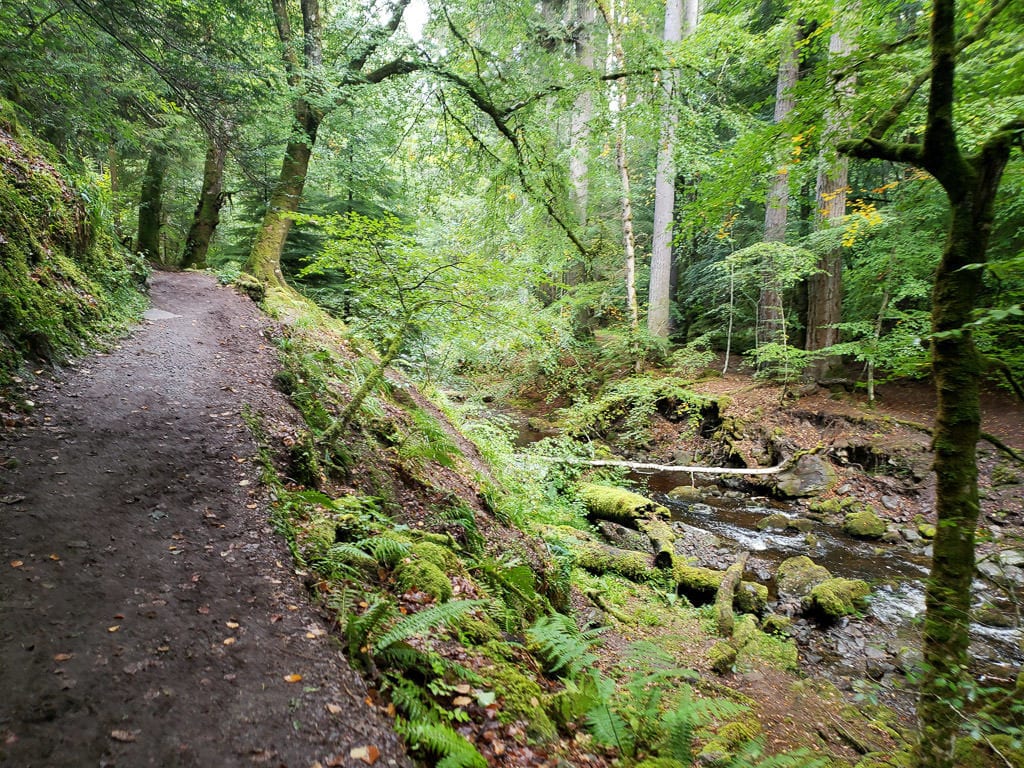 Trail at Reelig Glen that follows next to a beautiful river