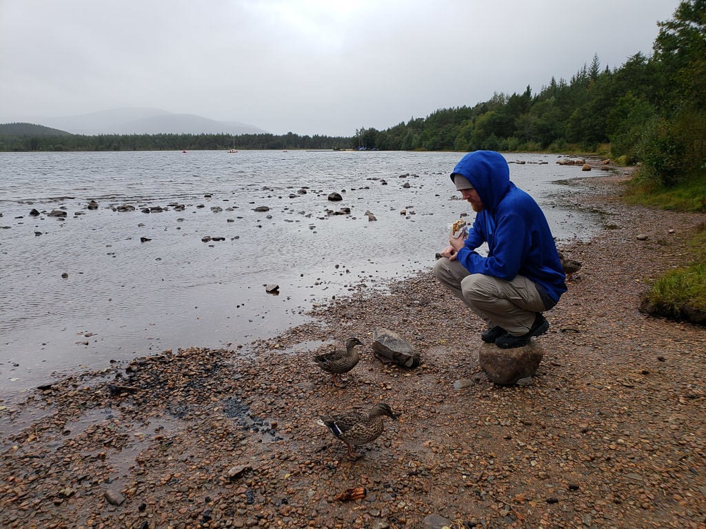 eating a sandwich next to some ducks in Cairngorms National Park