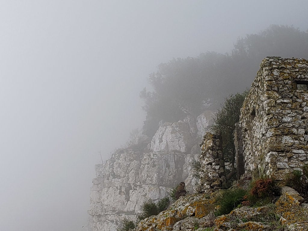 foggy cliffside views on the rock of gibraltar