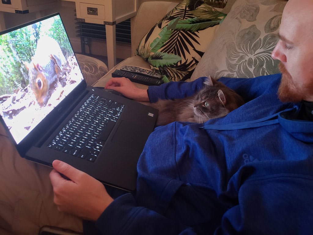 watching a squirrel video with a cat while house sitting abroad