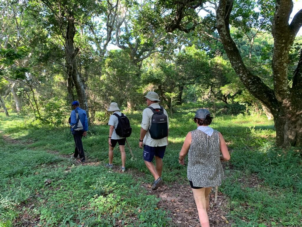 Read more about the article Difference walking hiking