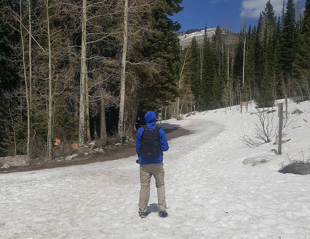 Buddy looking around trying to find the trail to Donut Falls that is fully covered in Snow