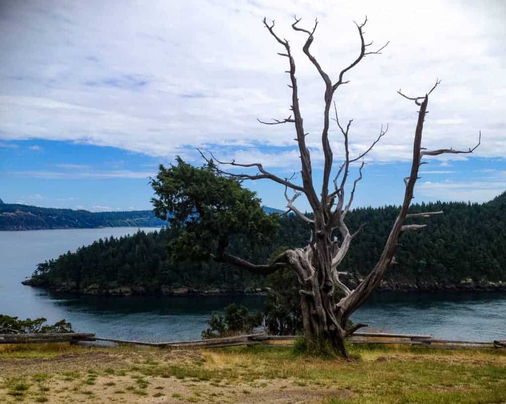 Washington Park Loop, Fidalgo Island, Anacortes, Washington view of another island