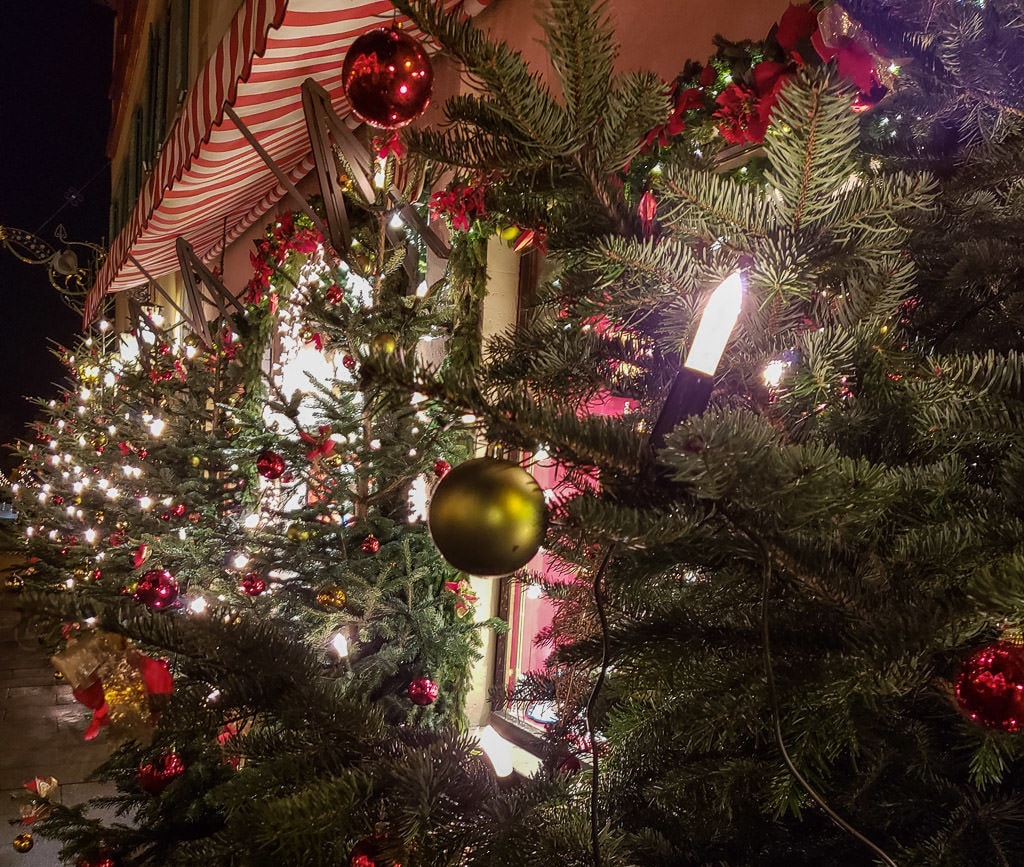 christmas trees in rothenburg germany