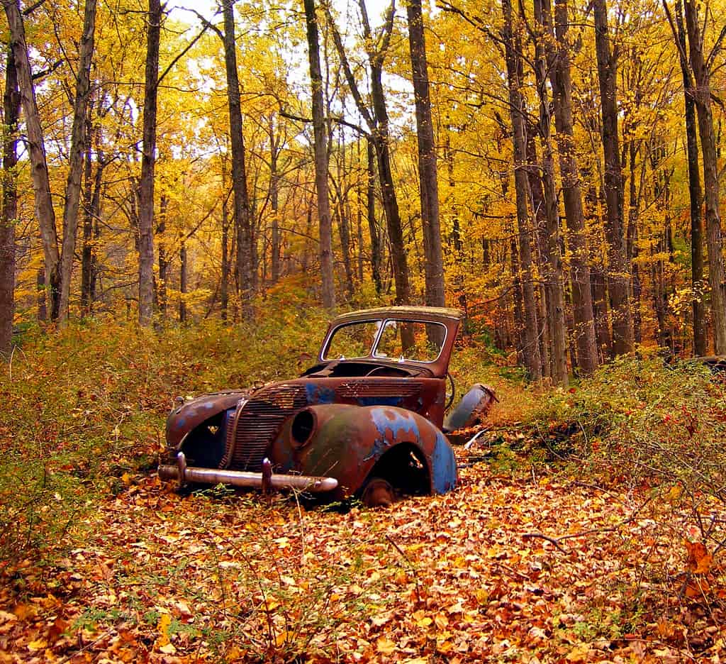 Ruins by Nicholas_T autumn photo