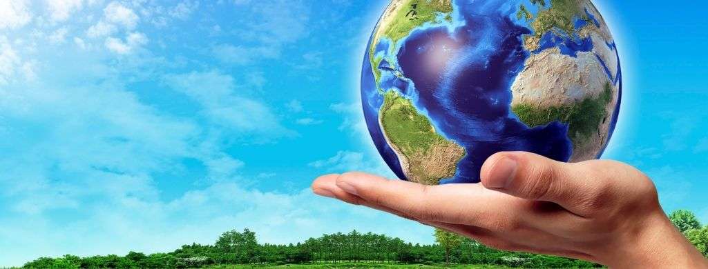 Why Should We Go Vegan Three Great Reasons