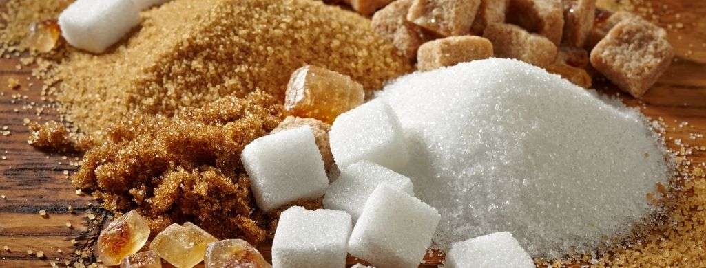 Sugar Can Be Refined Through Bone Char