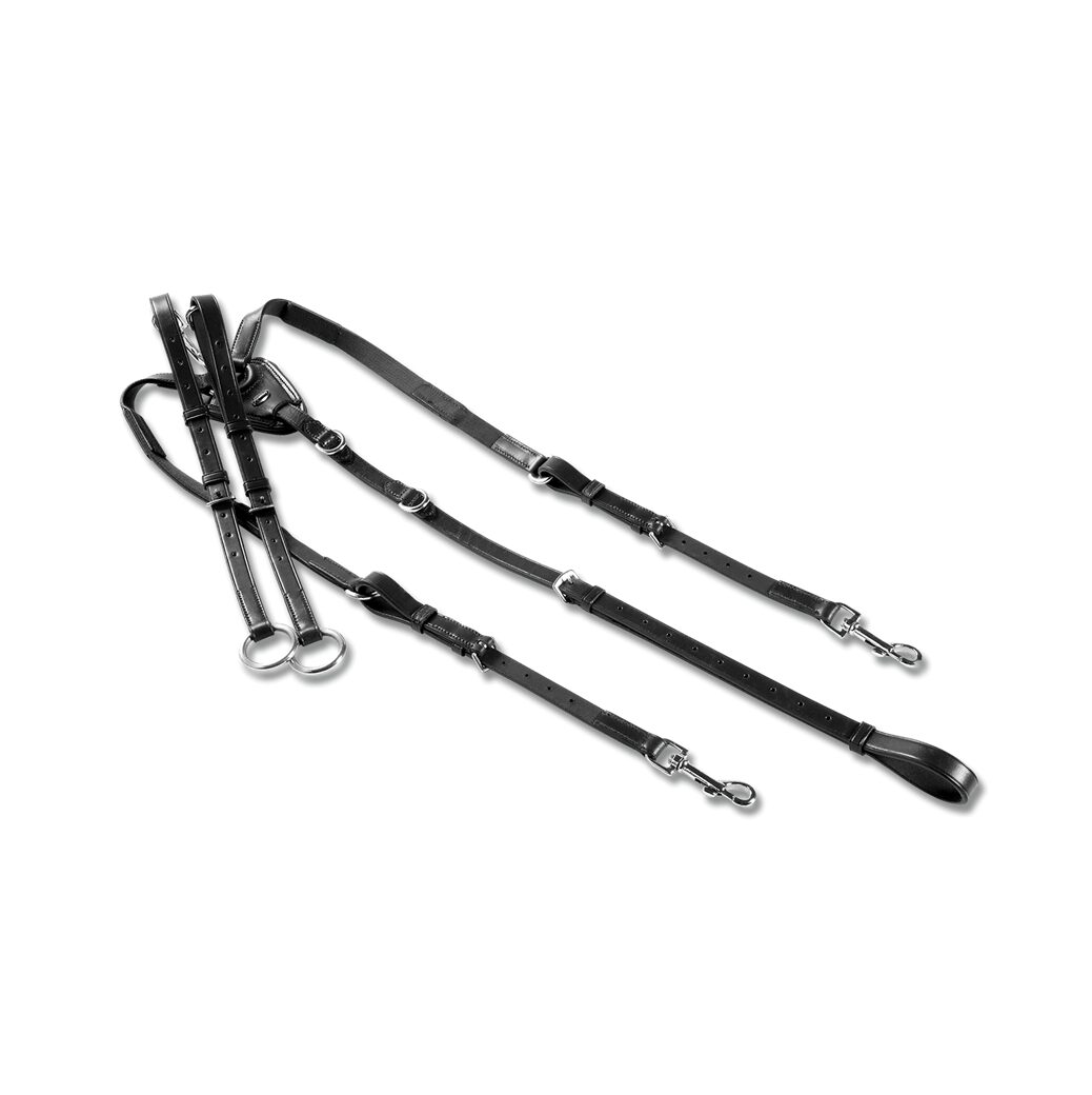 Pršnjak i martingal X-Line Waldhausen Pršnjak i martingal X-Line Waldhausen