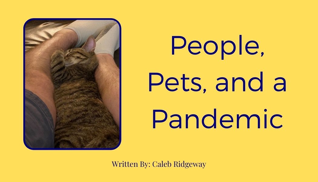 People, Pets, and a Pandemic