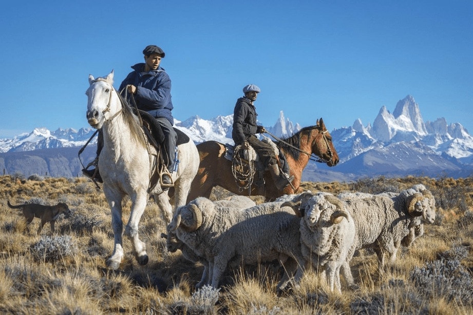 Patagonia Tours for Seniors