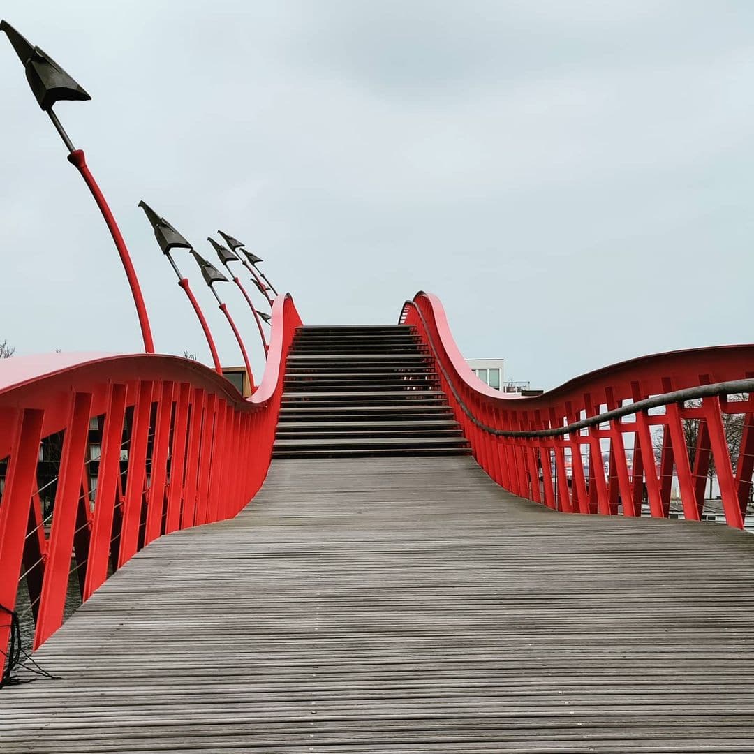 The Python Bridge Amsterdam - Bridge 1998