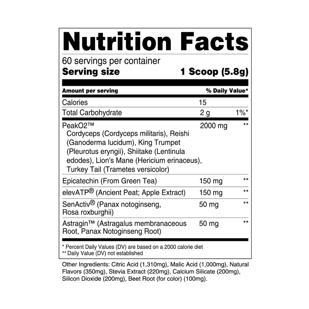 STRENGTH SERIES BUILD 60 Servings 1
