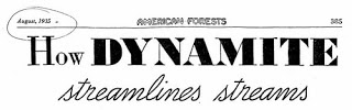 Let’s dynamite the river straight to save lives.