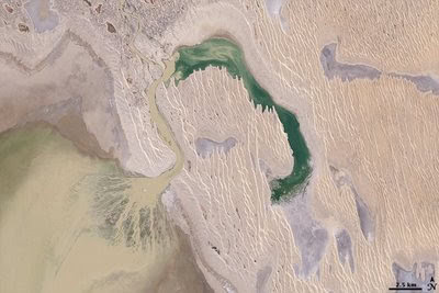 Dunes and a beautiful delta in Lake Eyre.