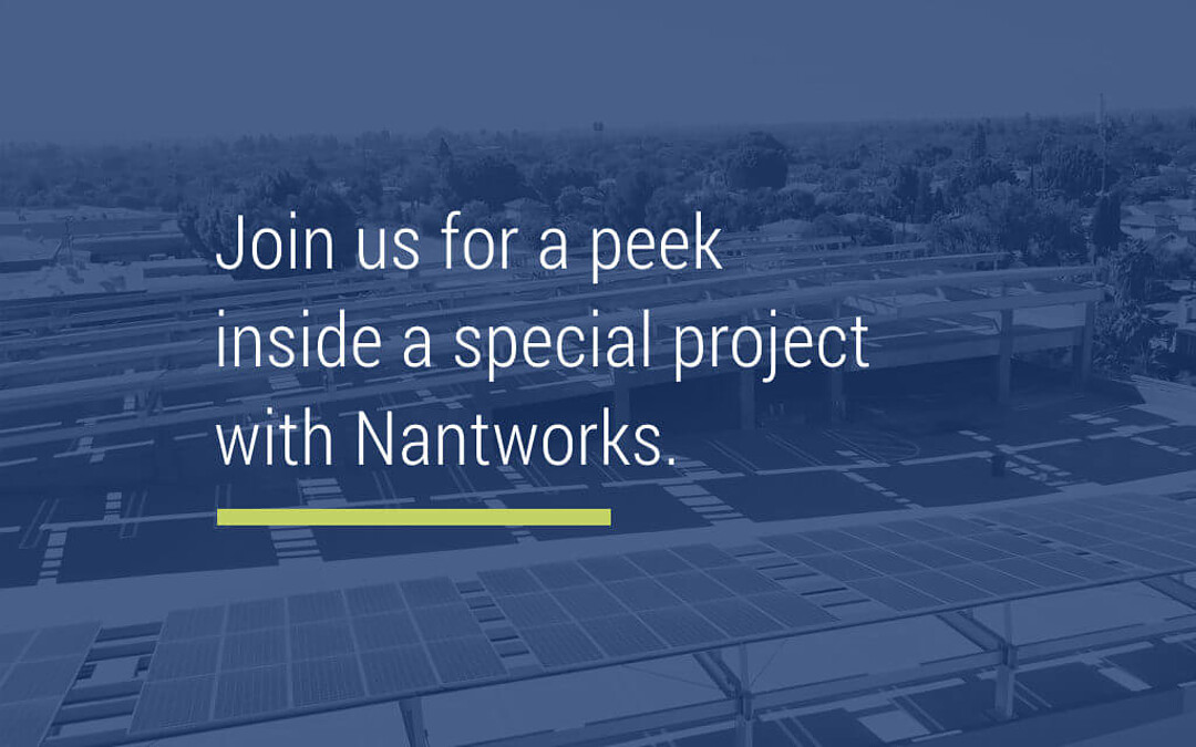 Special Project Highlight: Nantworks