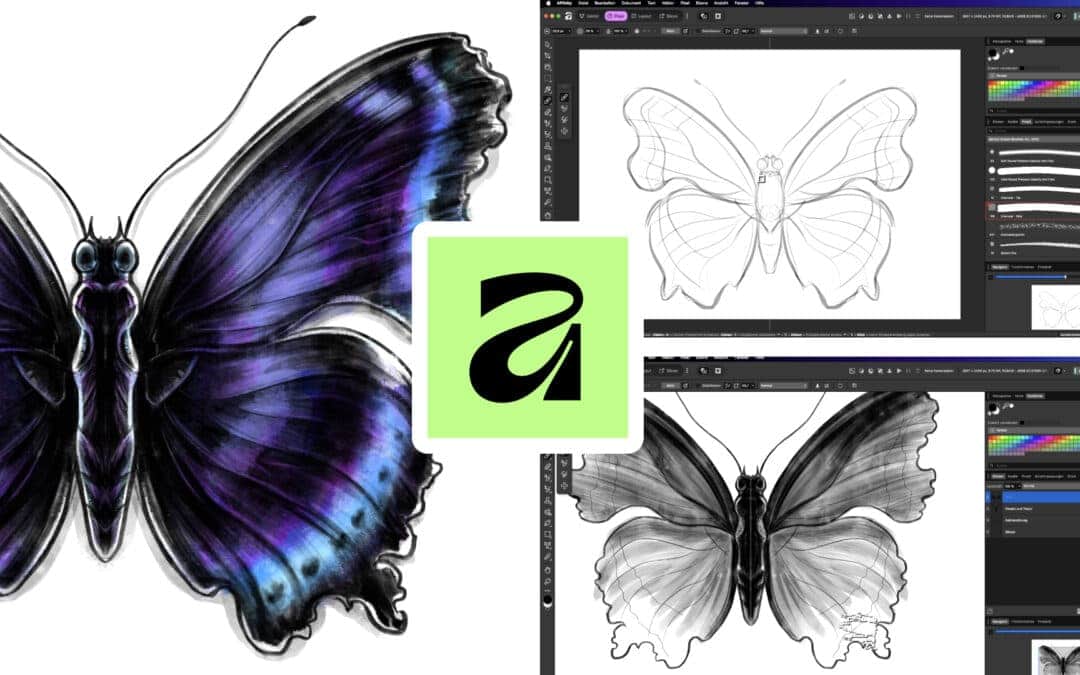 KURS UPDATE | Affinity-Tutorial & Zeichenroutine-Material