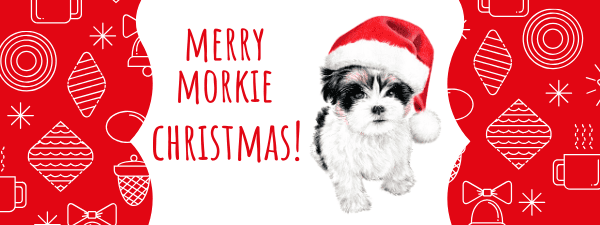 Holiday safety tips for your Morkie