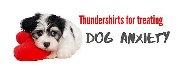 Thundershirt for Dogs