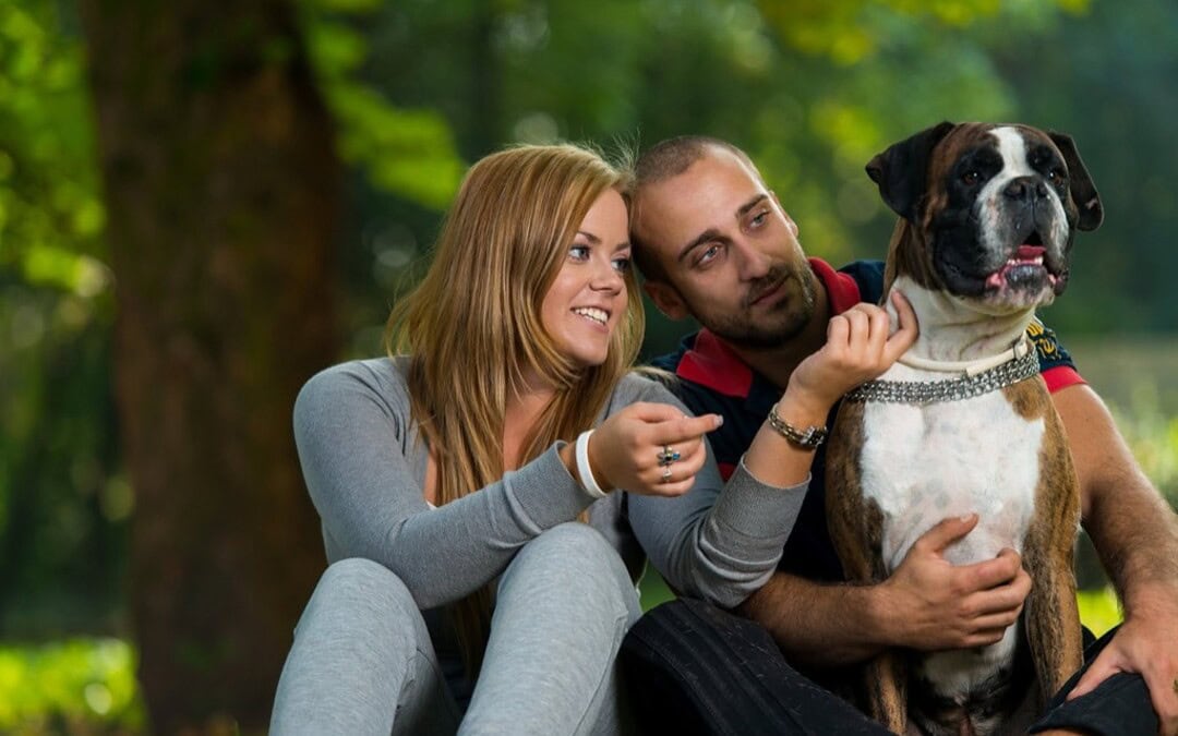 Local Vets| Optional Pet Insurance