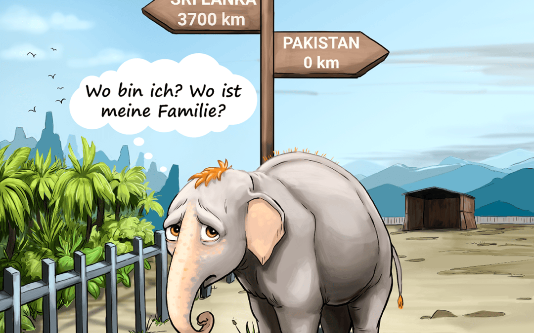 Kaavan – Reise in die Freiheit