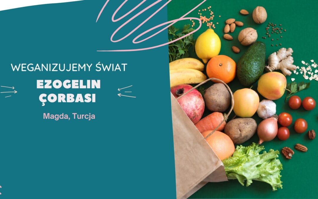 Turecka zupa ezogelin çorbası. Magda, Turcja.