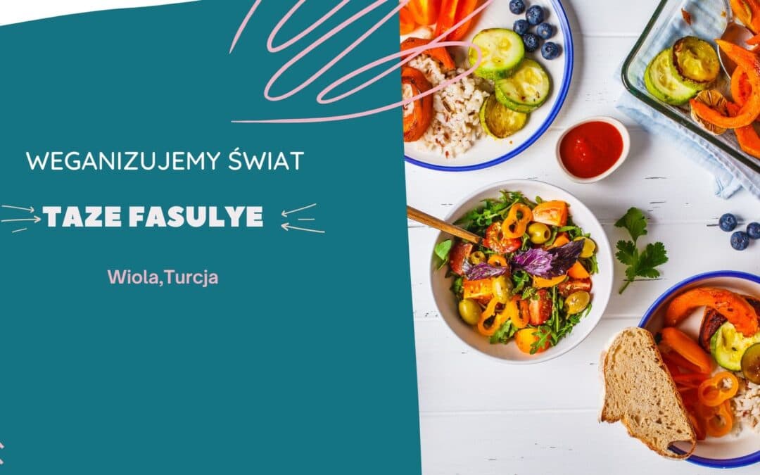 Taze Fasulye, fasolka w sosie. Wiola, Turcja.