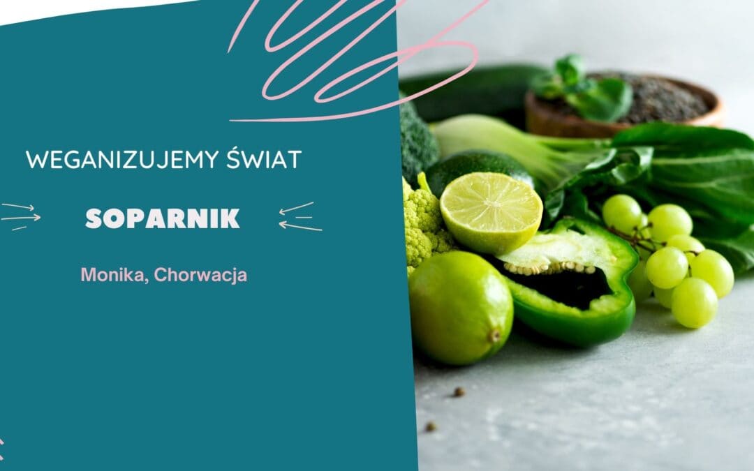 Soparnik. Monika, Chorwacja.