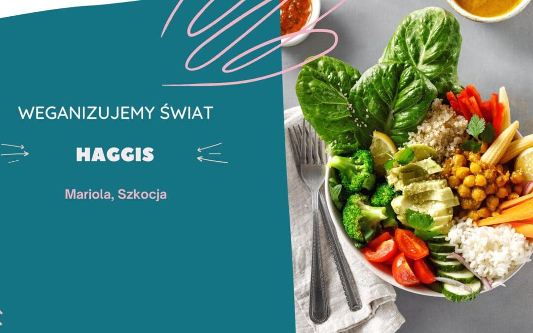 Wegańskie haggis. Mariola, Szkocja.
