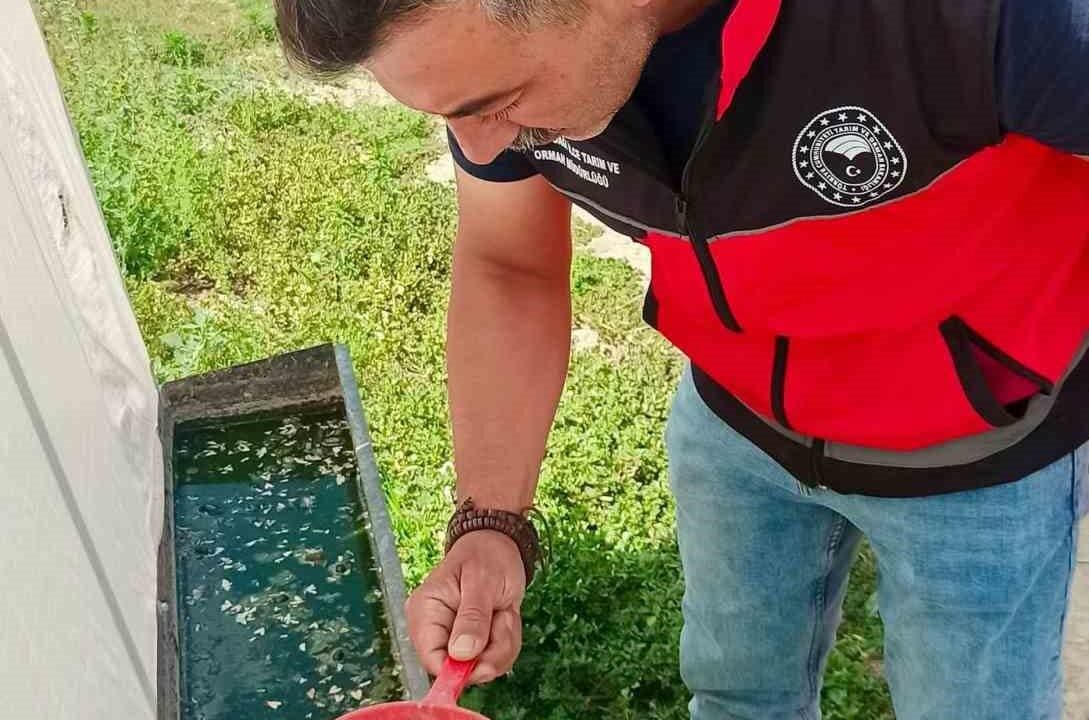 AFYONKARAHİSAR’DA TARIMSAL ÜRETİMDE VERİM VE KALİTEYİ OLUMSUZ ETKİLEYEBİLEN ZARARLILARLA MÜCADELE ÇERÇEVESİNDE SAHA ÇALIŞMALARINA DEVAM EDİLİYOR.