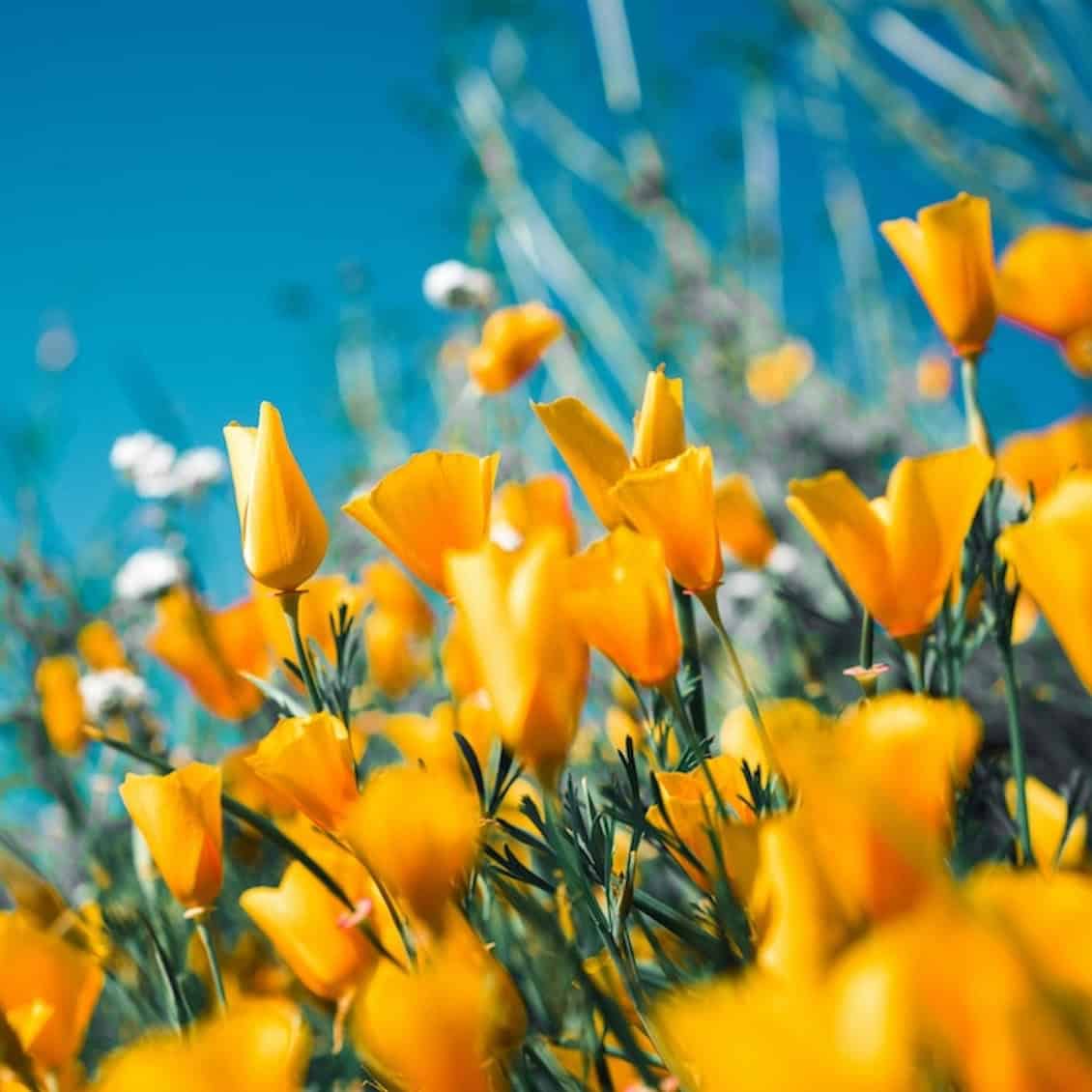 Why I&rsquo;m treating the spring equinox as my new year