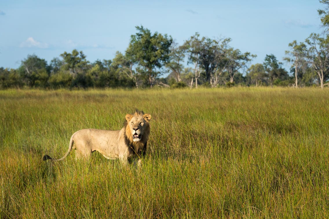 Vumbura_2015-03-304e