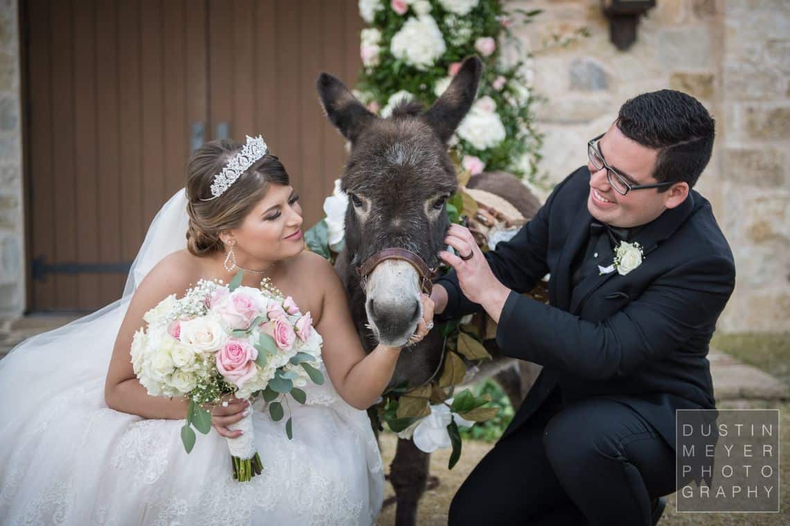 The bride and groom posing for a wedding portrait with a miniature donkey.