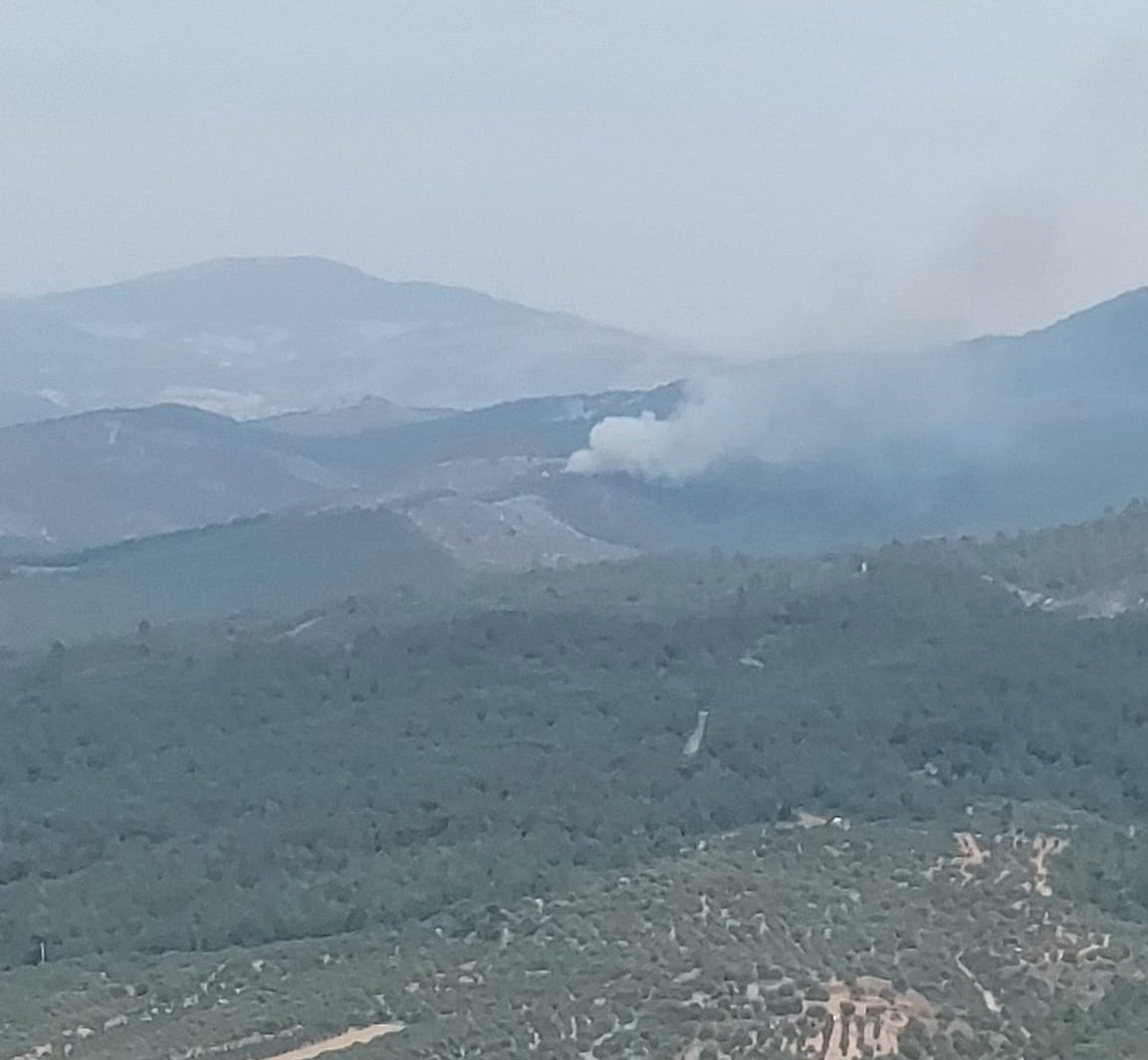 Manisa’da orman yangını